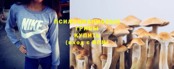 шишки Саяногорск