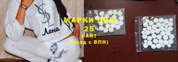 таблы Бородино