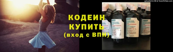 таблы Бородино